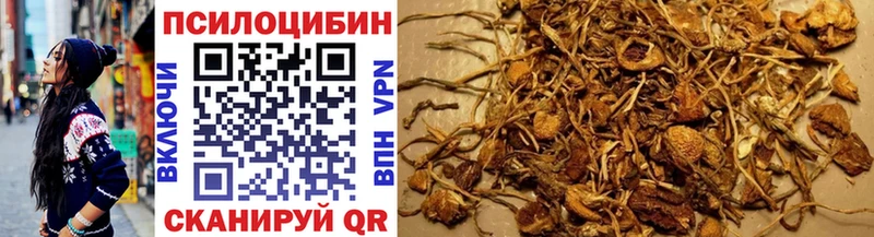 Псилоцибиновые грибы прущие грибы  как найти   Одинцово 