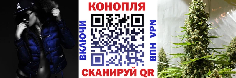 Бошки Шишки конопля  дарнет шоп  Одинцово 